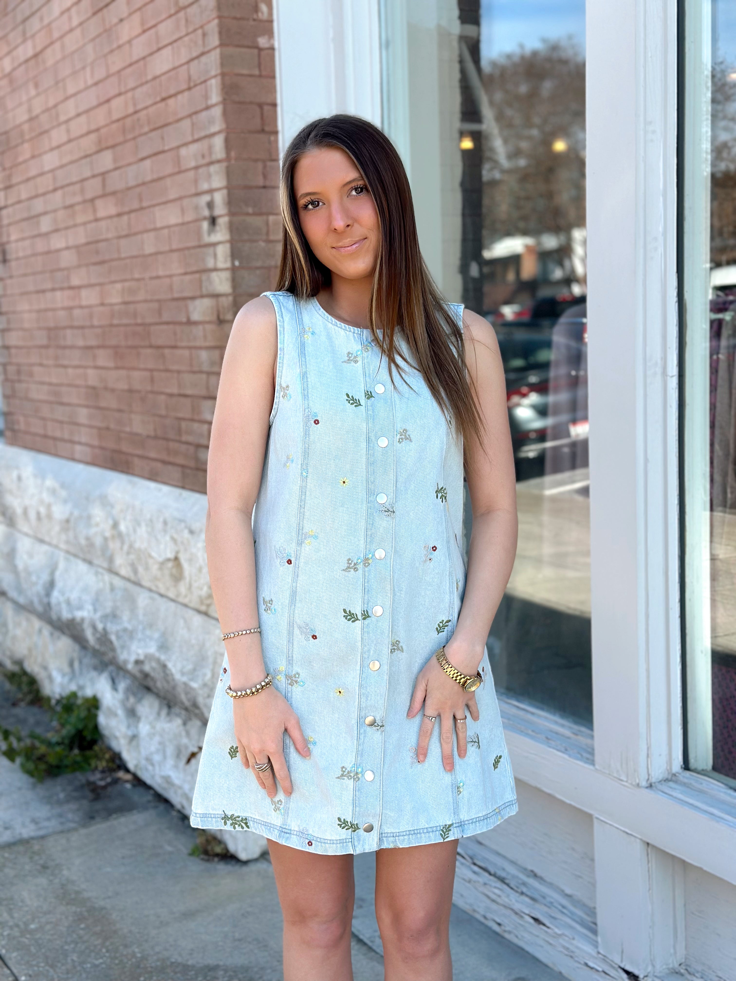 A Charmer Denim Dress